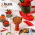 Заказать кальянный табак Burn Fire (Берн Фаер) 20г онлайн с доставкой всей России
